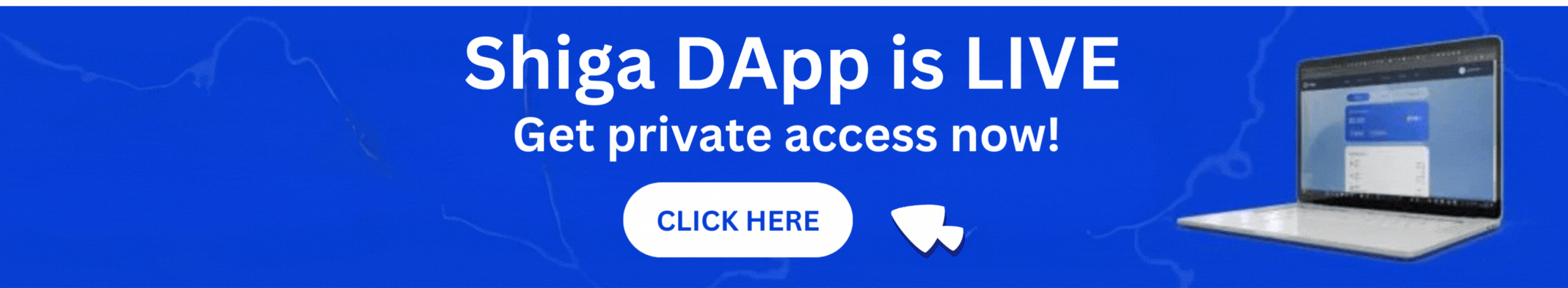 Beta Launch